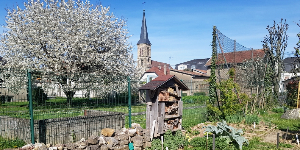 Le jardin partagé des Amis des Sheds se situe au coeur de la ville de Kingersheim © Annick Kiesler